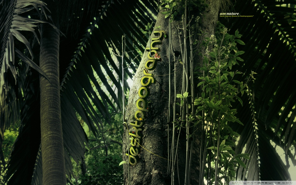 wallpaper jungle. Jungle desktop wallpaper