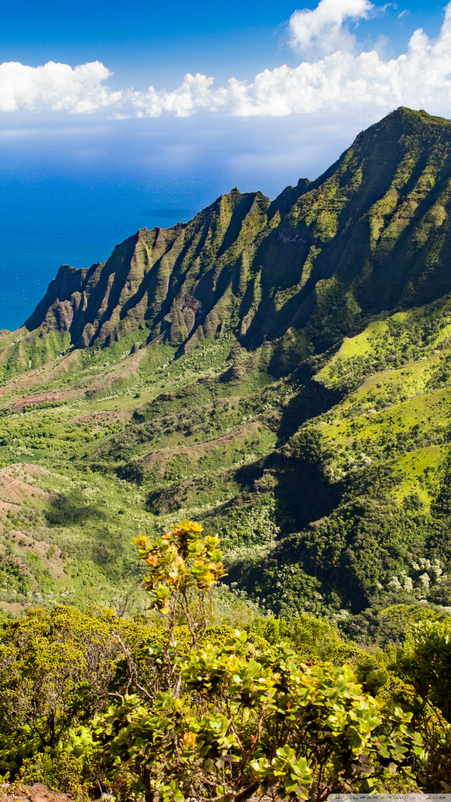 Download 21 jurassic-background Kauai-Jurassic-Park-Na-Pali-Kalalau-Lookout-Hawaii-.jpg