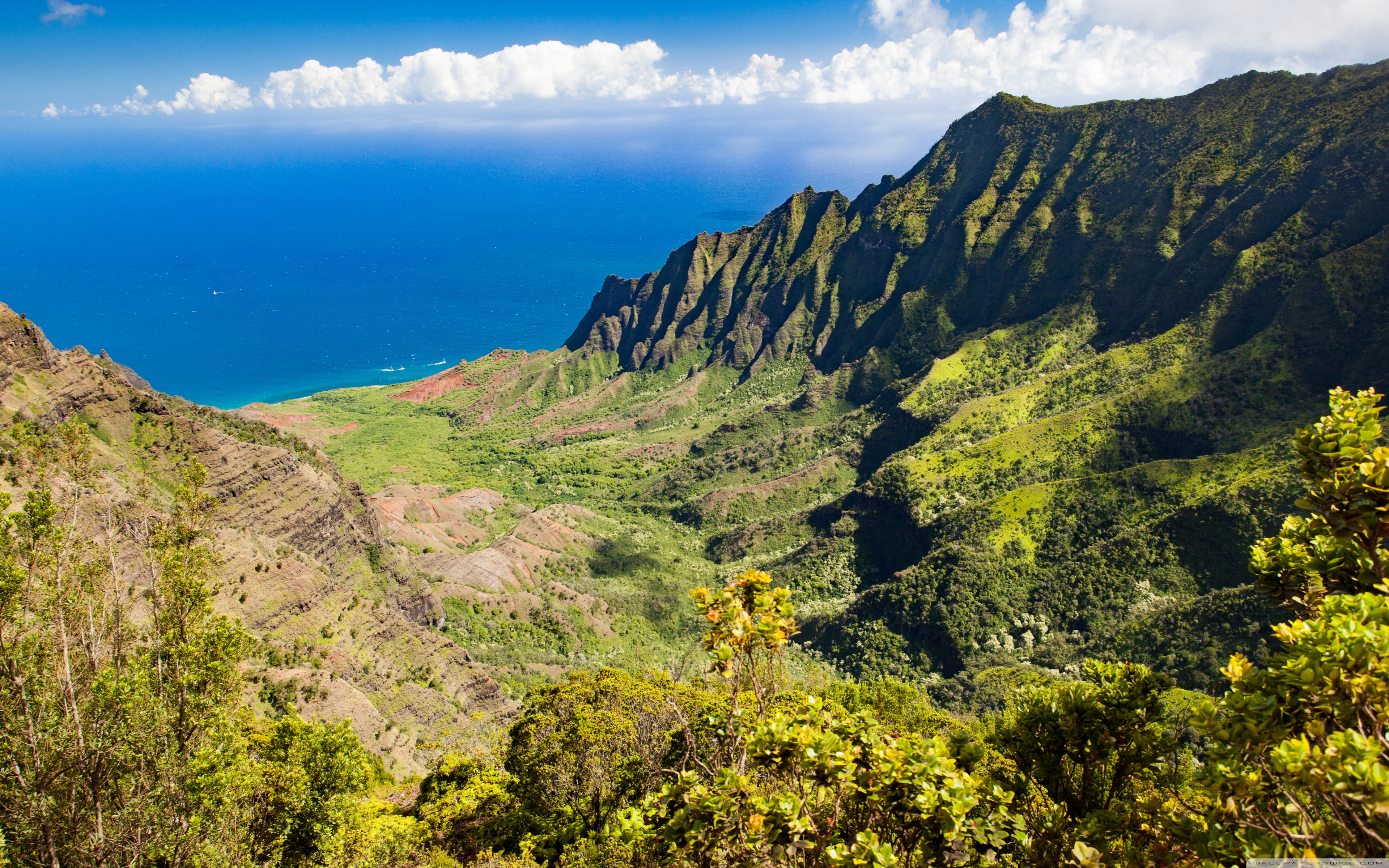 Download 21 jurassic-background Kauai-Jurassic-Park-Na-Pali-Kalalau-Lookout-Hawaii-.jpg