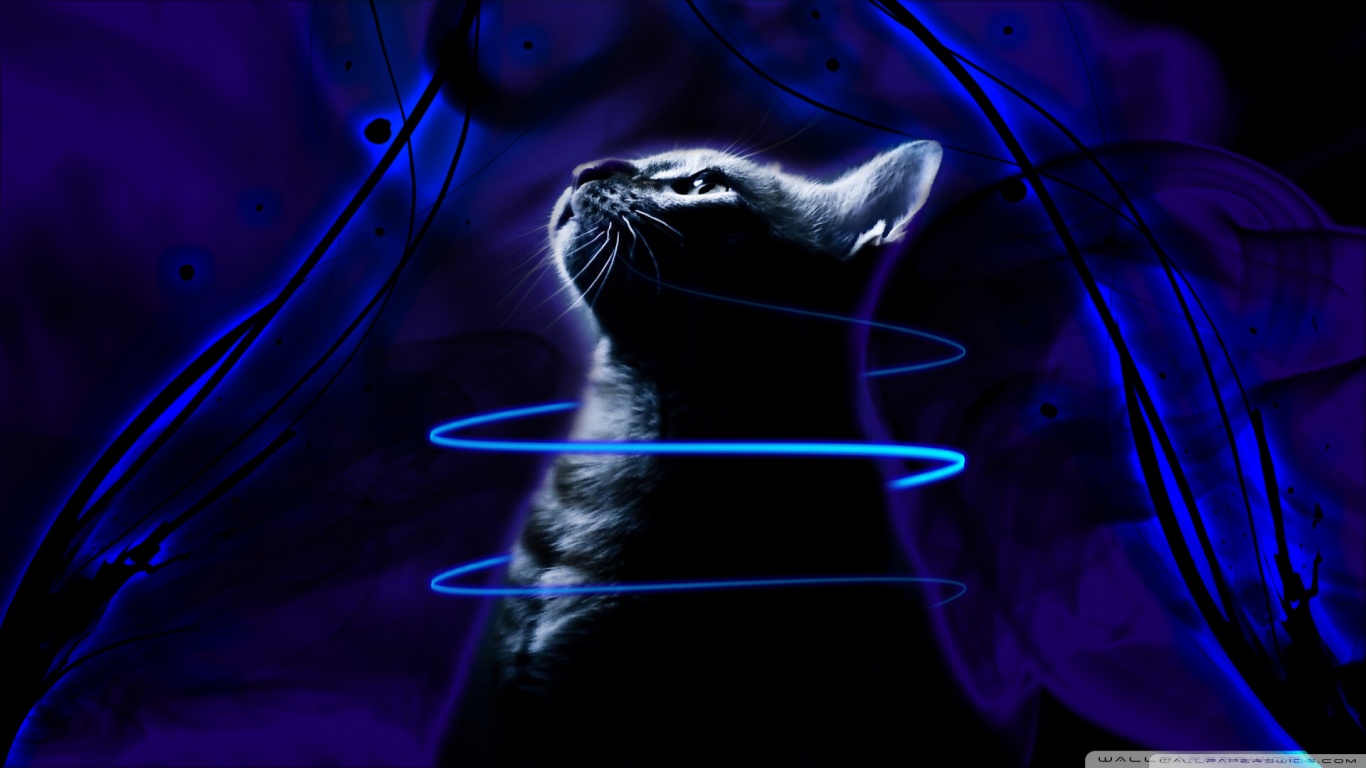 Neon Kitten