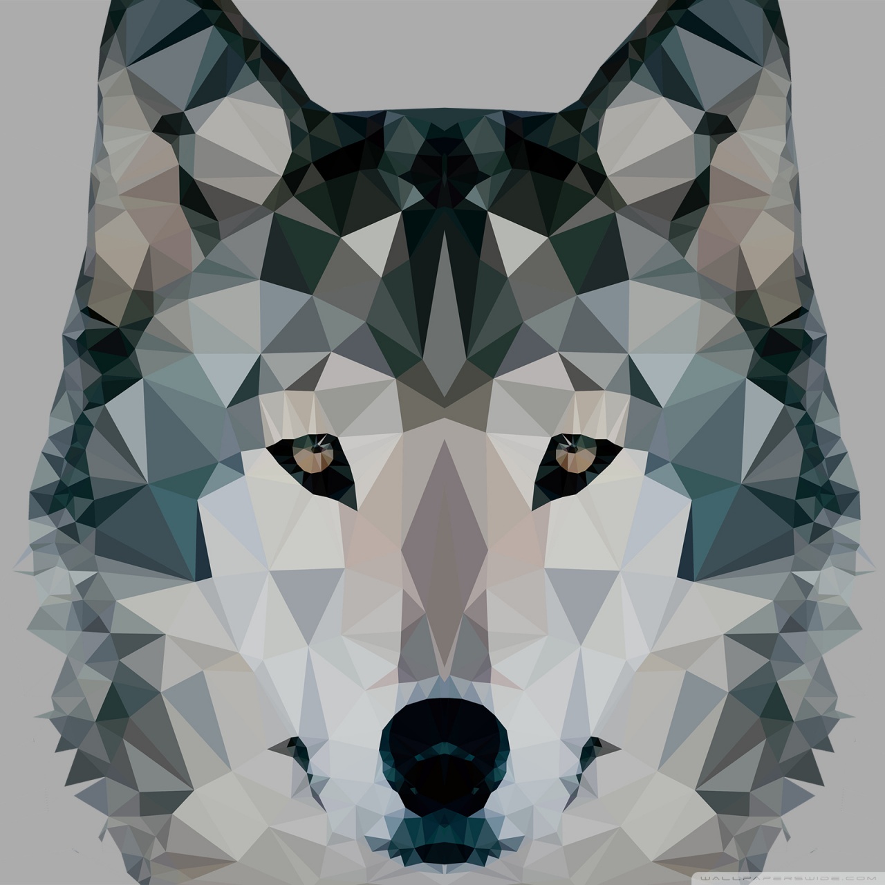 Low Polygonal Wolf Ultra Hd Desktop Background Wallpaper For 4k