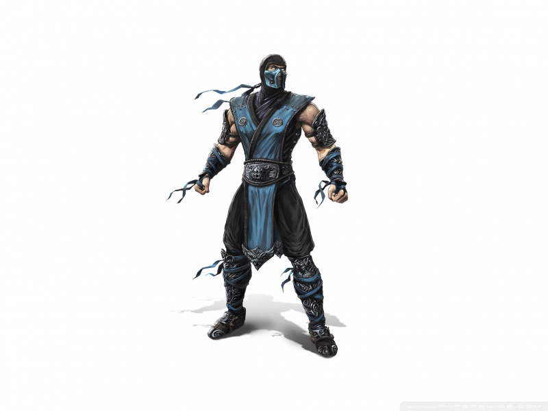 mortal kombat sub zero costume. mortal kombat 9 sub zero