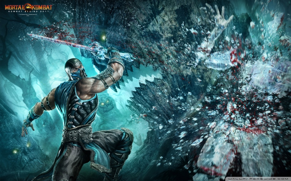 mortal kombat 9 scorpion vs sub zero. mortal kombat 9 sub zero and