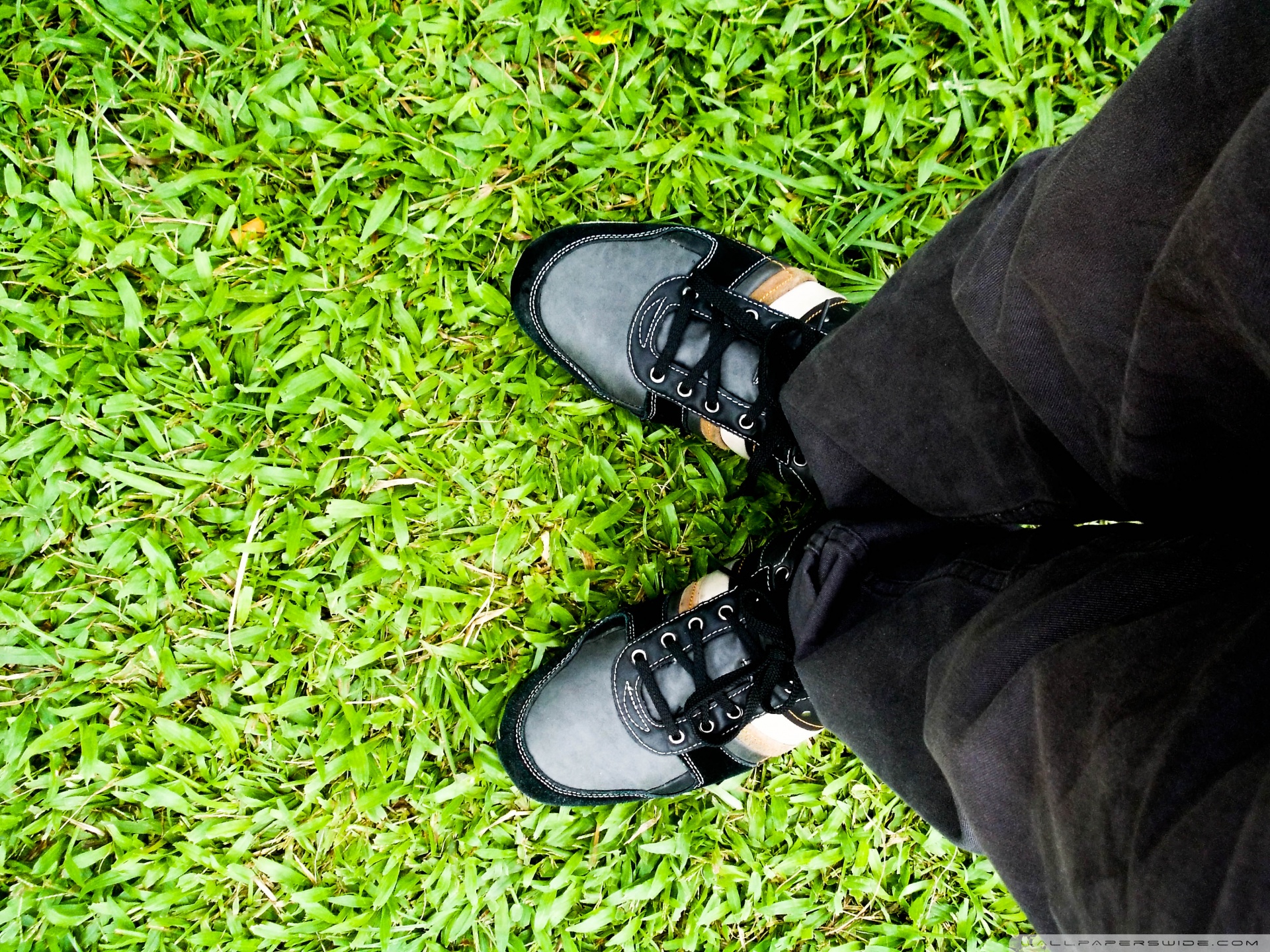 My Shoe Ultra HD Desktop Background Wallpaper for