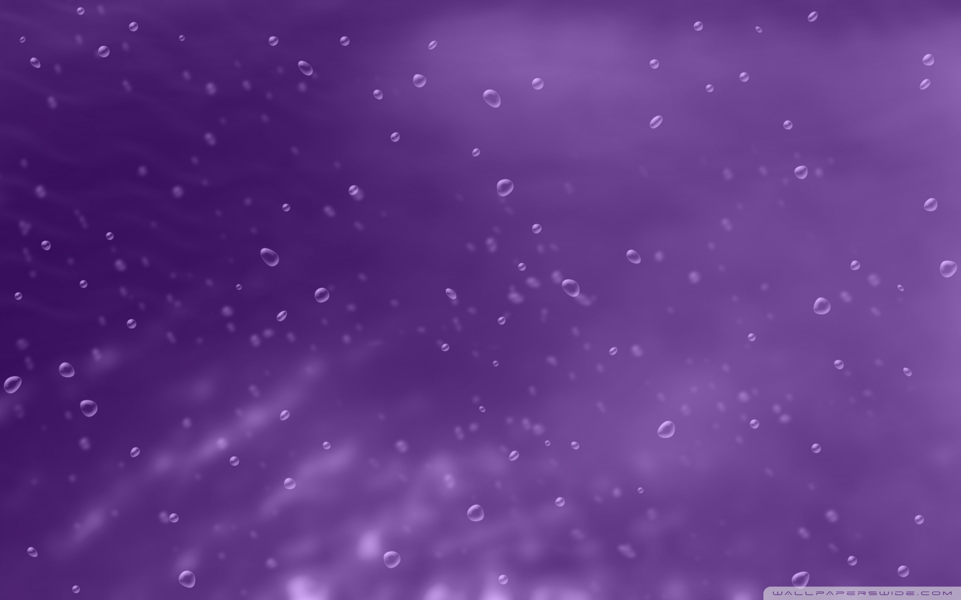 Purple Background With Bubbles 4K HD Desktop Wallpaper For 4K