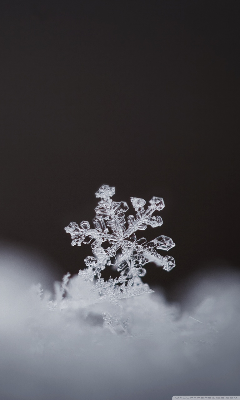 Real Snowflake Magnified Ultra HD