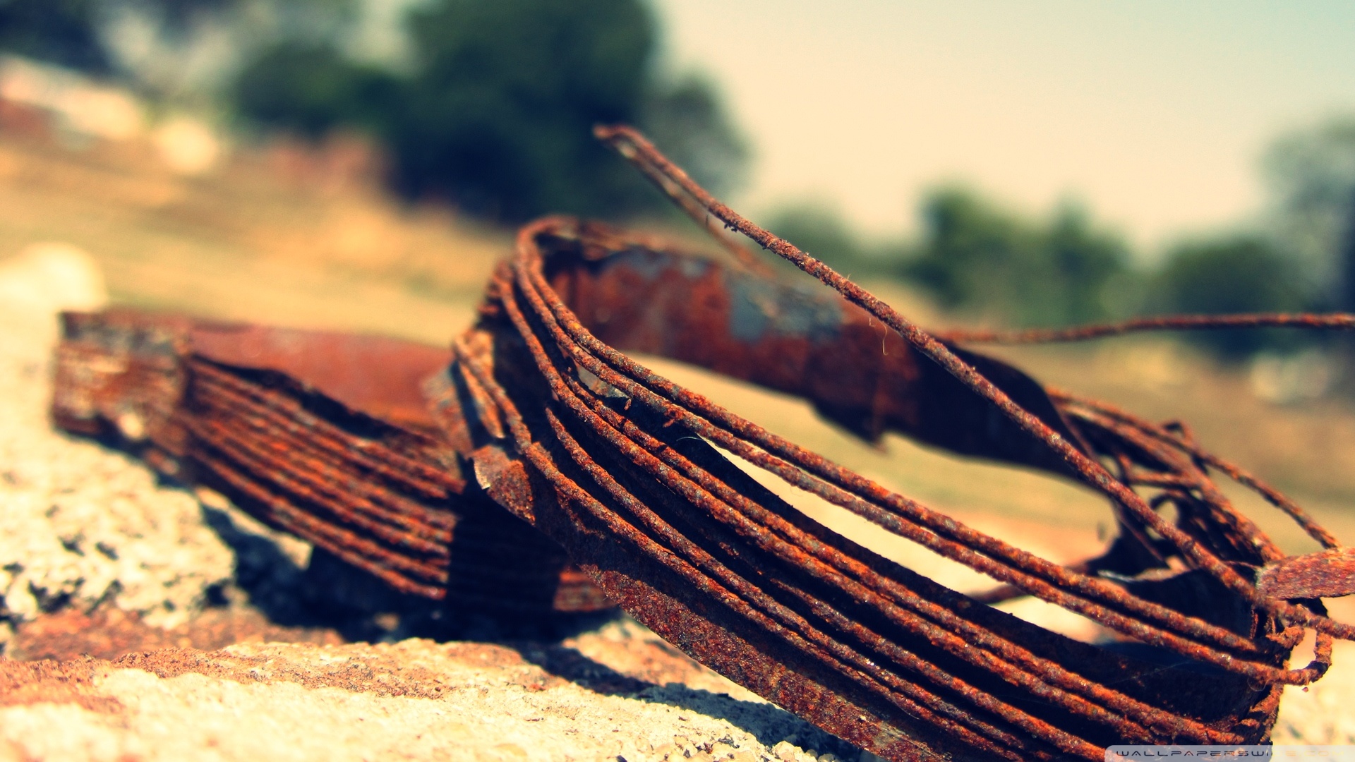 Rusty Band