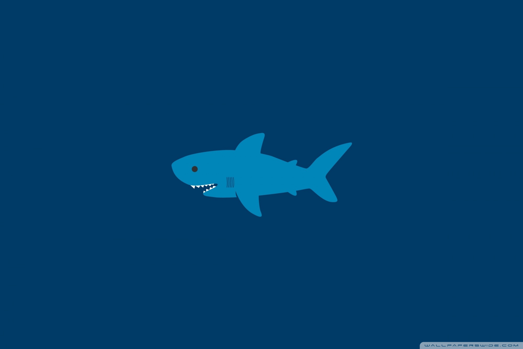 Shark Cartoon Ultra HD Desktop Background Wallpaper for 4K UHD TV : Multi  Display, Dual Monitor : Tablet : Smartphone
