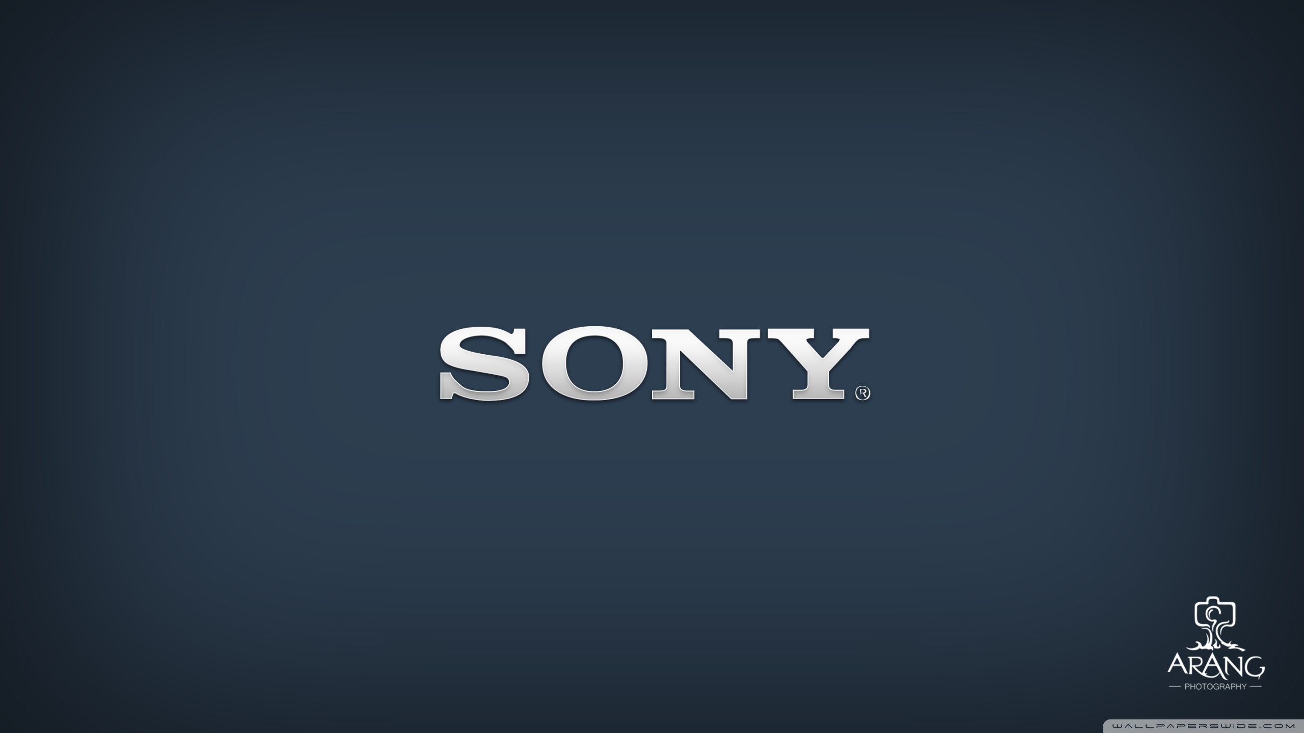 Sony Logo 2014 Ultra HD Desktop