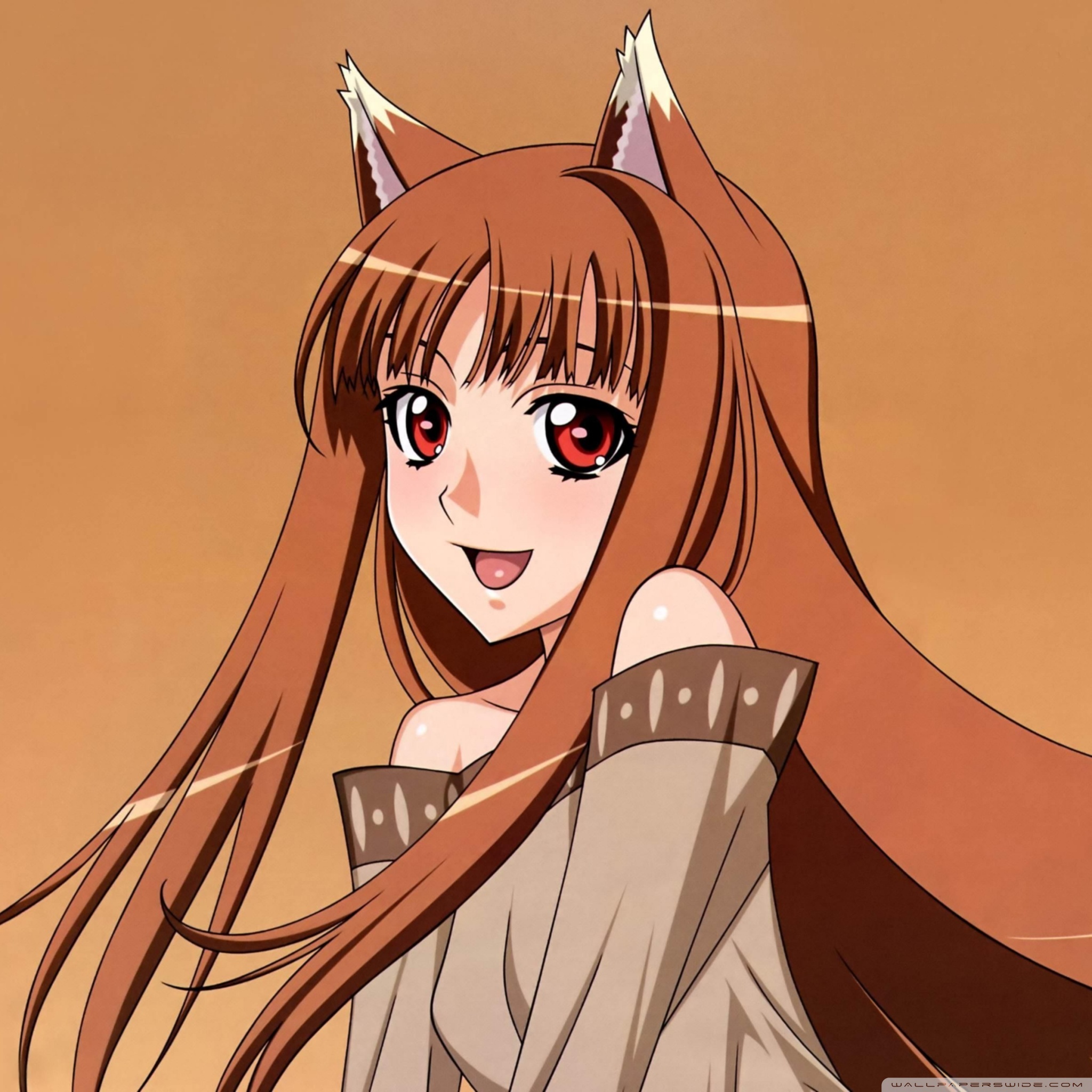 Spice And Wolf Ultra HD Desktop Background Wallpaper for 4K UHD TV : Multi  Display, Dual Monitor : Tablet : Smartphone