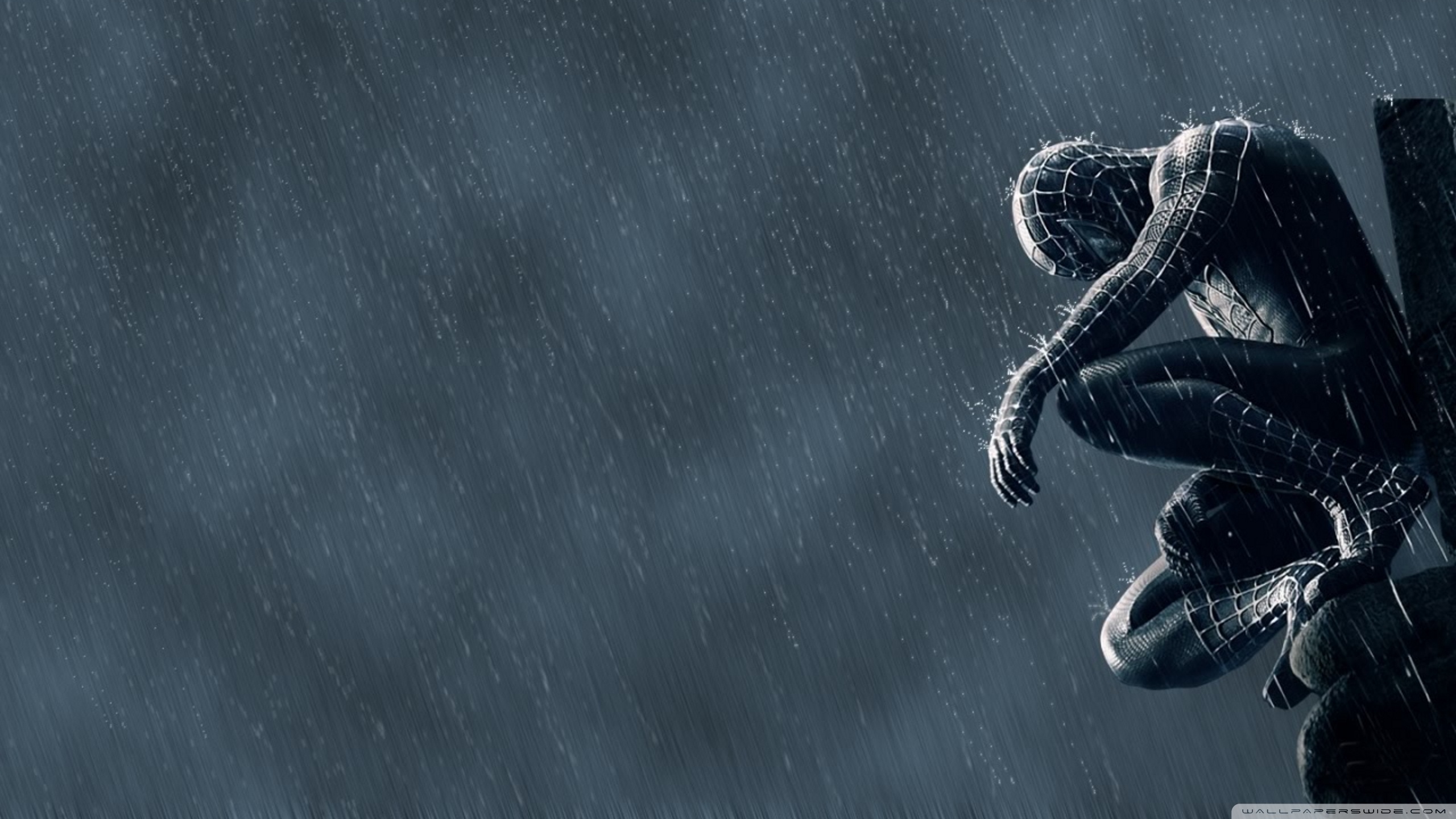 Spider Man In The Rain Ultra HD Desktop