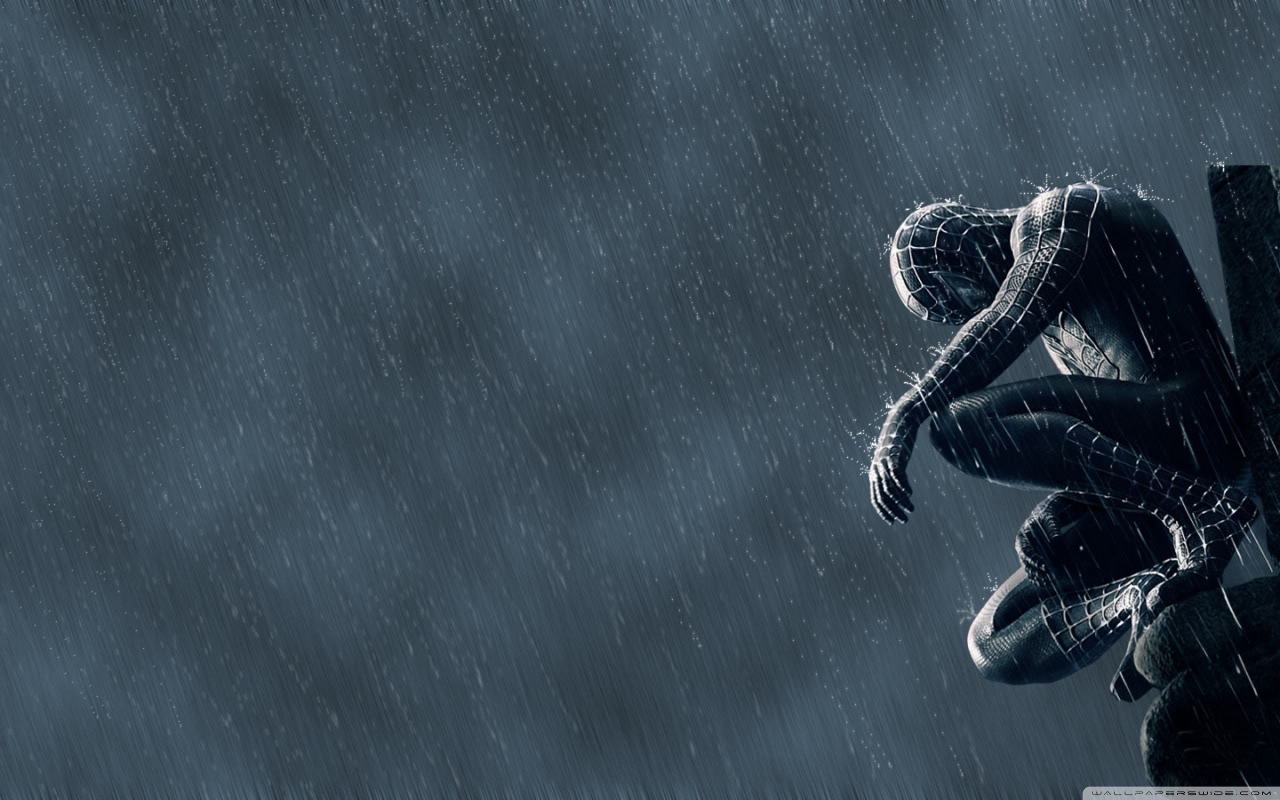 Spider Man In The Rain ❤ 4K HD Desktop