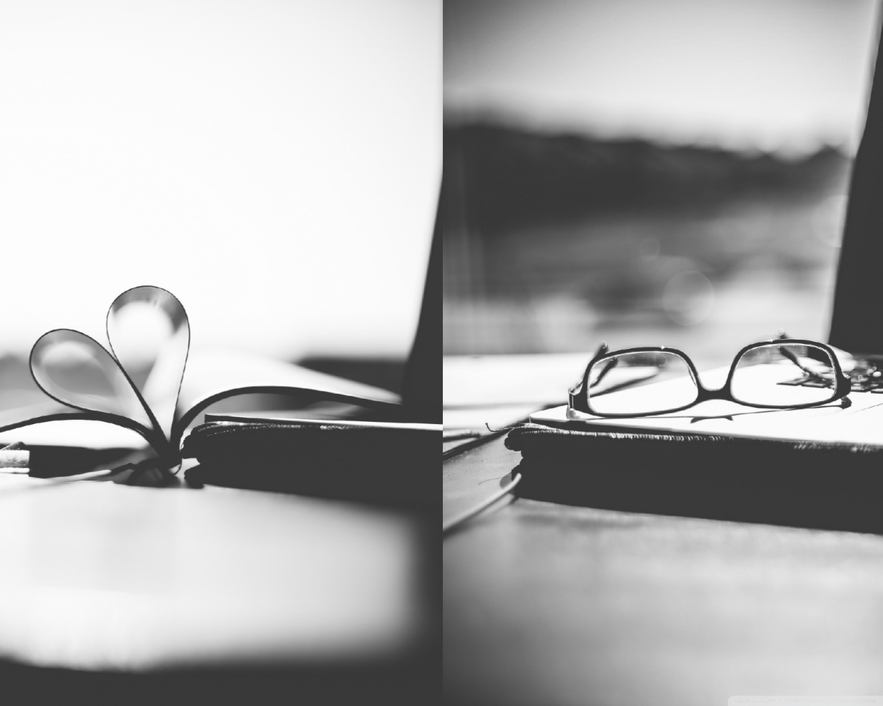 Studying Is So Overrated Ultra HD Desktop Background Wallpaper for 4K UHD TV : Widescreen & UltraWide Desktop & Laptop : Tablet : Smartphone Studying Is So Overrated Ultra HD Desktop Background Wallpaper for 4K UHD TV : Widescreen & UltraWide Desktop & Laptop : Tablet : Smartphone
