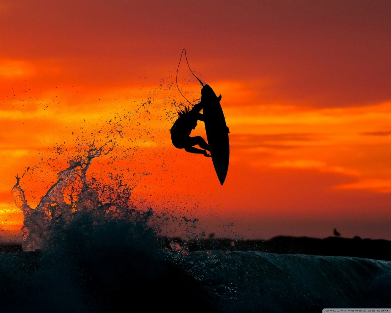 Surfing Ultra HD Desktop Background Wallpaper for 4K UHD TV