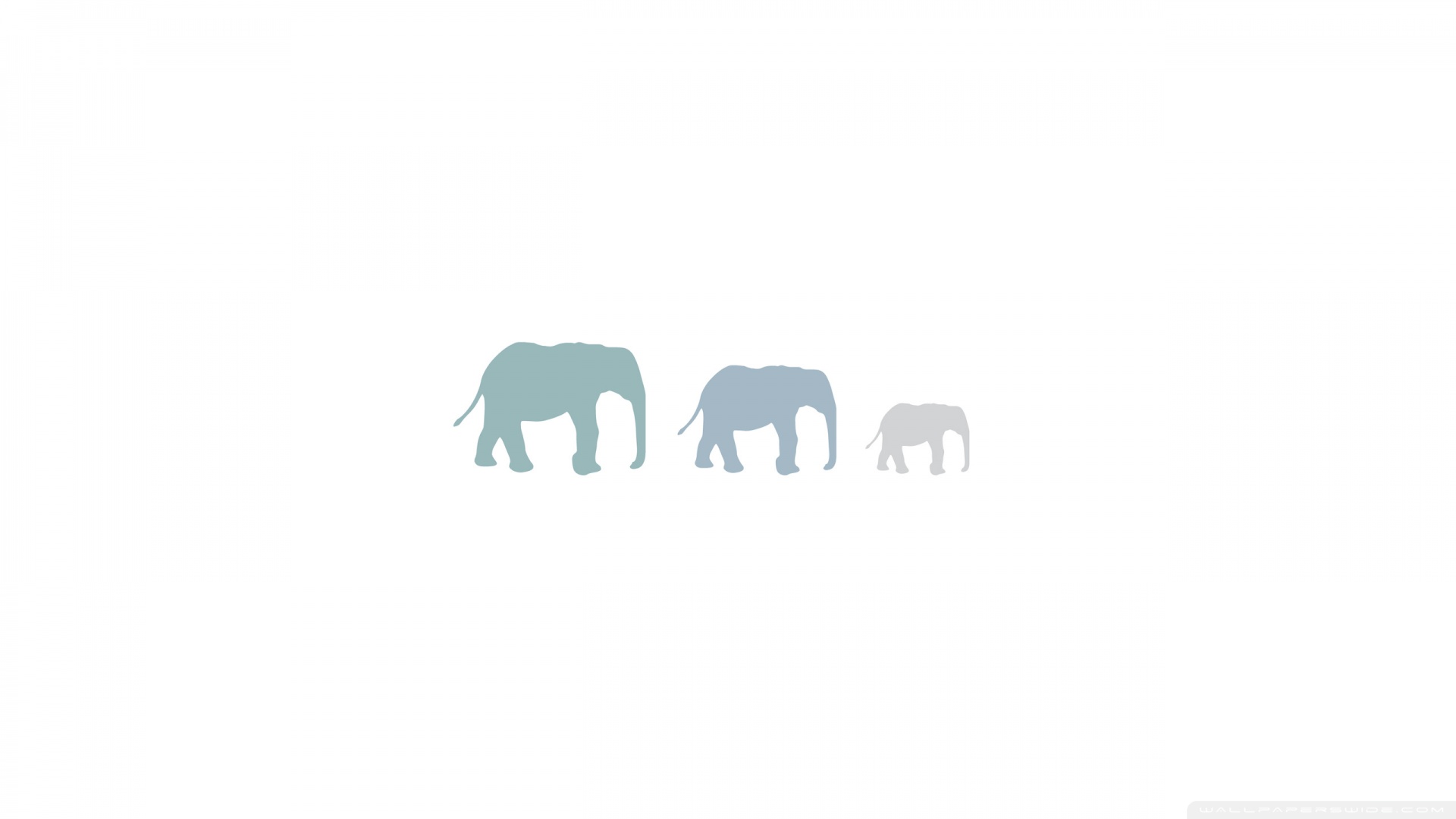 Three Elephants Ultra HD Desktop Background Wallpaper for 4K UHD TV : Multi  Display, Dual Monitor : Tablet : Smartphone