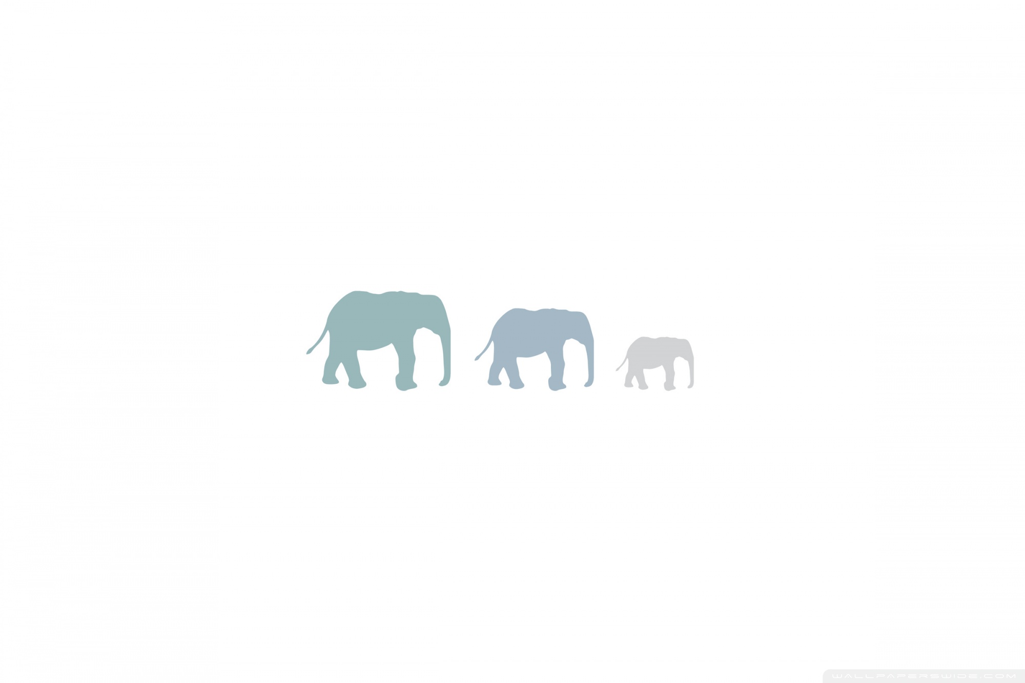 Three Elephants Ultra HD Desktop Background Wallpaper for 4K UHD TV : Multi  Display, Dual Monitor : Tablet : Smartphone