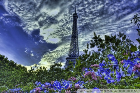 High  Picture Eiffel Tower on Tower Eiffel Hdr Hd Desktop Wallpaper   Widescreen   High Definition