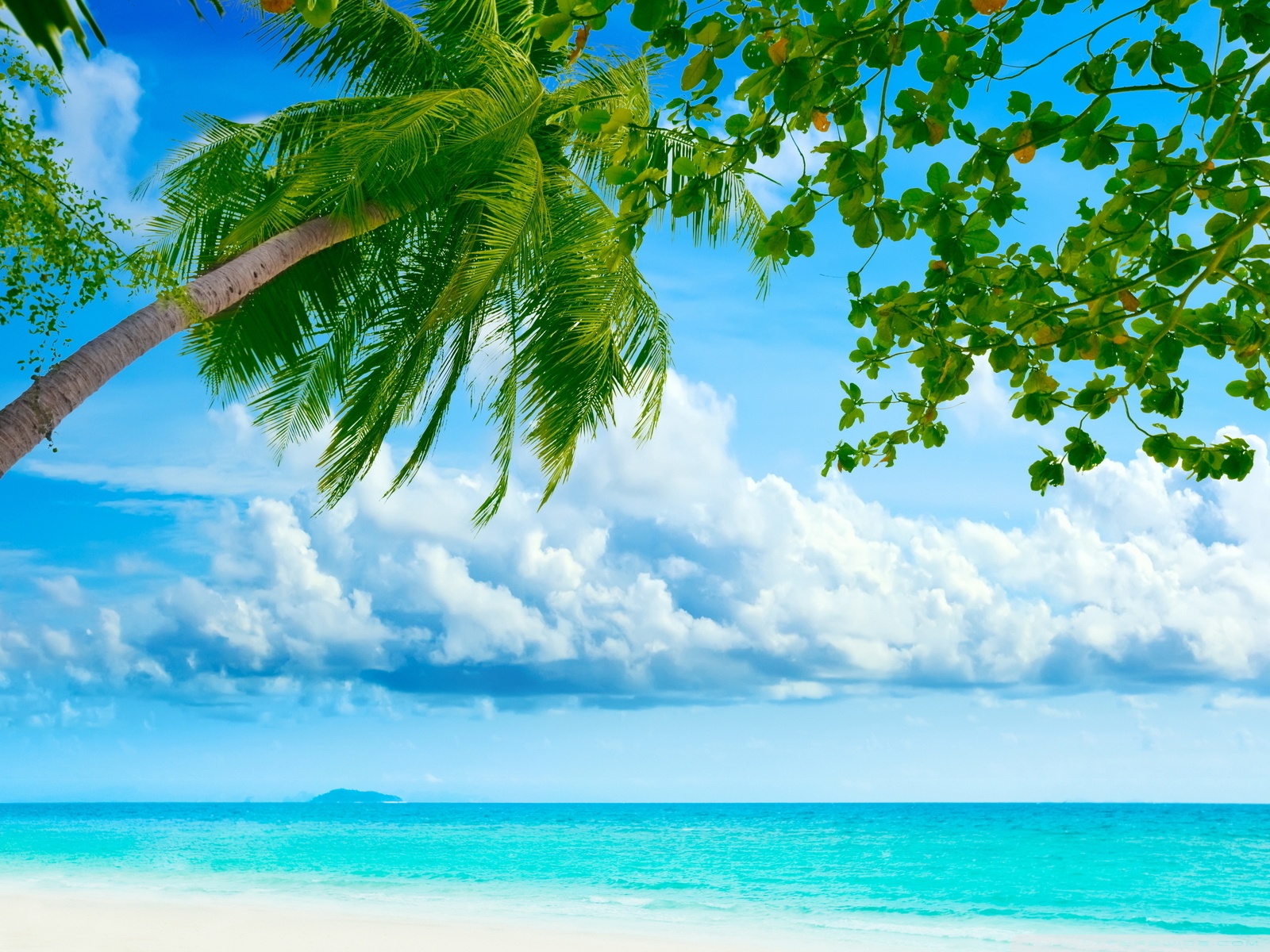 Tropical Beach Resorts Ultra HD Desktop Background Wallpaper for 4K UHD TV  : Widescreen & UltraWide Desktop & Laptop : Tablet : Smartphone