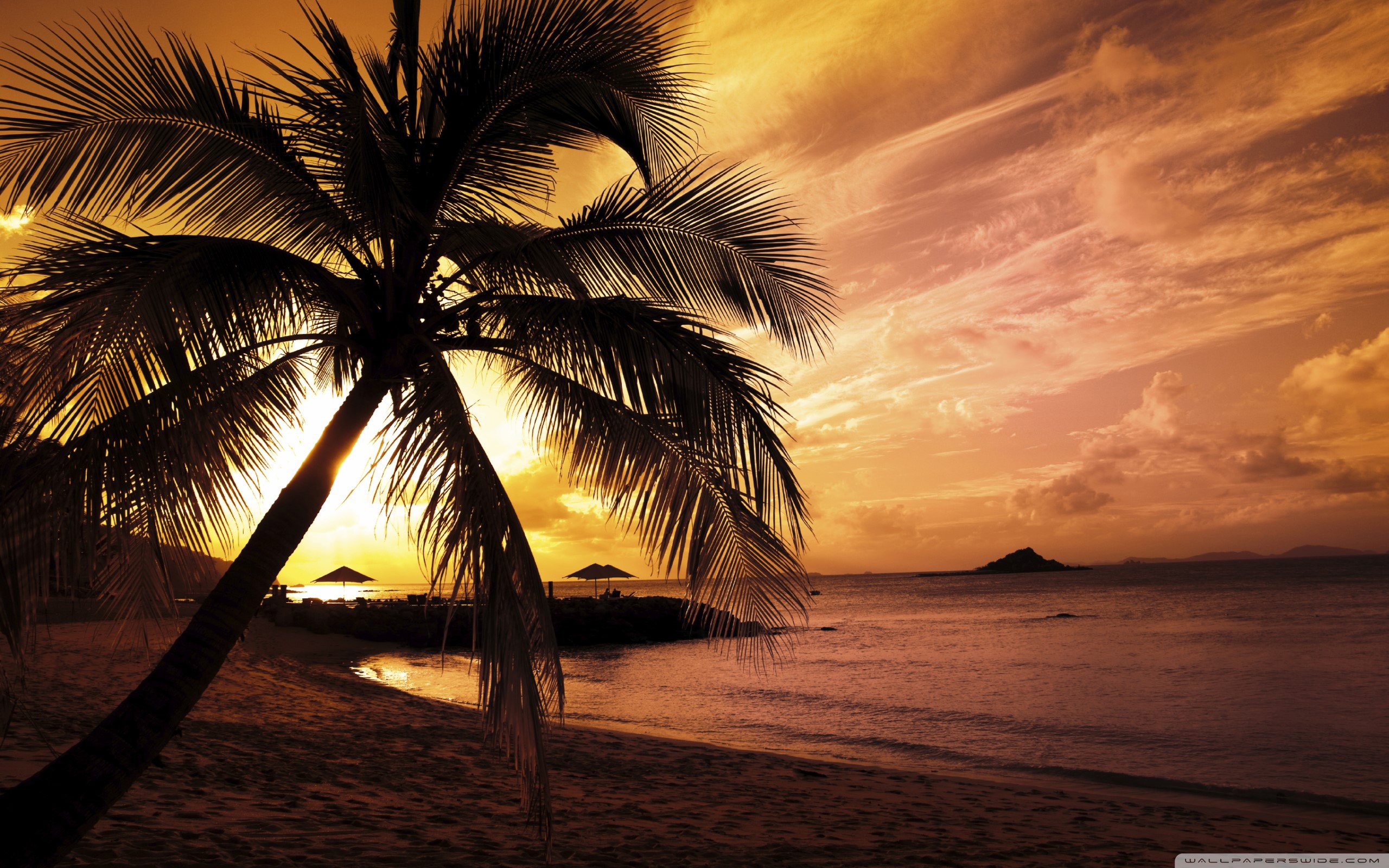 Tropical Beach Sunset HD desktop wallpaper   Widescreen   High