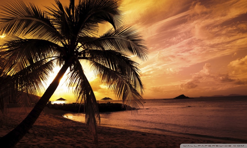 wallpaper beach sunset. Tropical Beach Sunset desktop