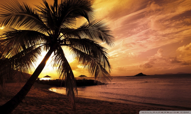 tropical beach sunset wallpaper. Tropical Beach Sunset desktop