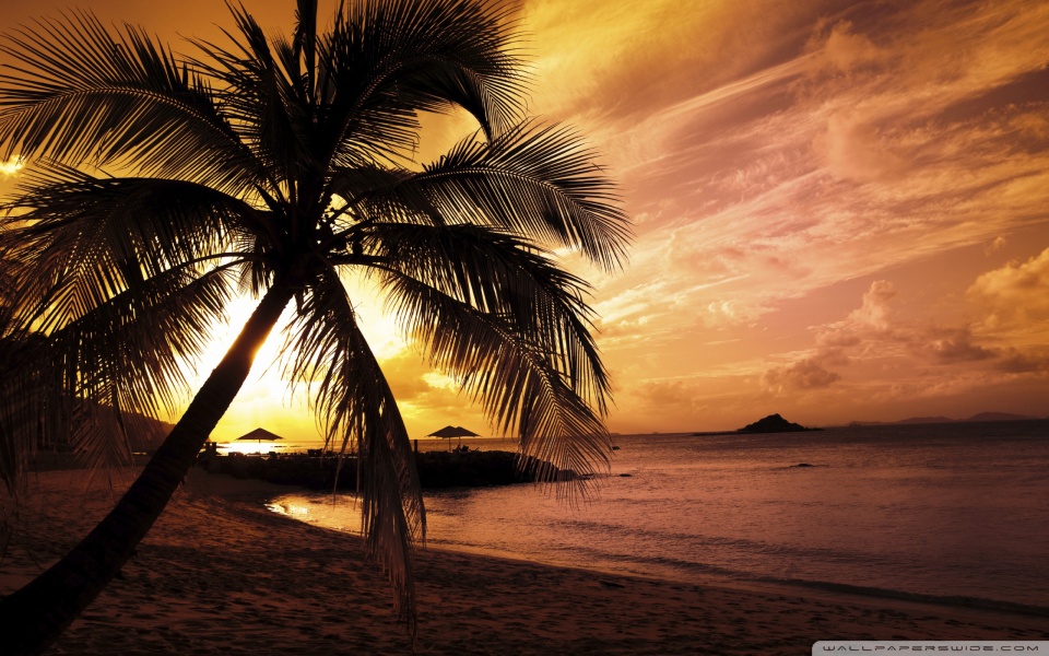 beach sunset wallpaper hd. Tropical Beach Sunset desktop