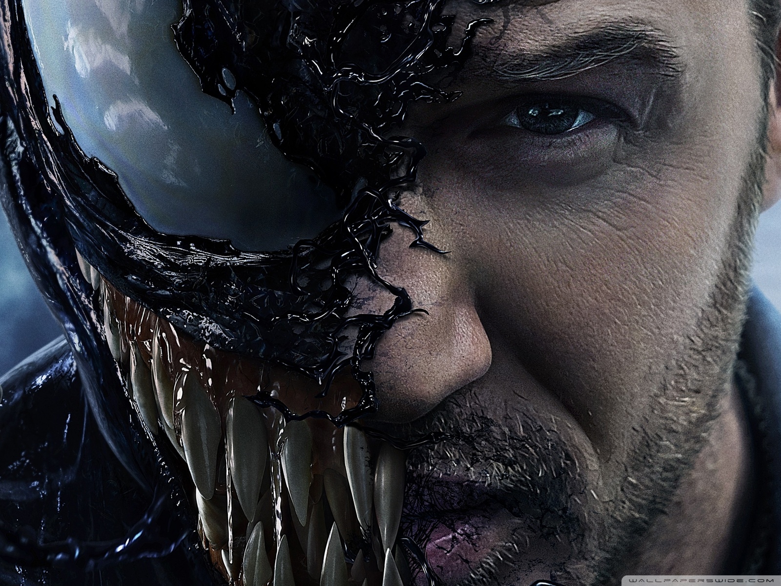 Venom Superhero Movie Tom Hardy Ultra HD Desktop Background Wallpaper for 4K UHD TV : Widescreen & UltraWide Desktop & Laptop : Tablet : Smartphone Venom Superhero Movie Tom Hardy Ultra HD Desktop Background Wallpaper for 4K UHD TV : Widescreen & UltraWide Desktop & Laptop : Tablet : Smartphone
