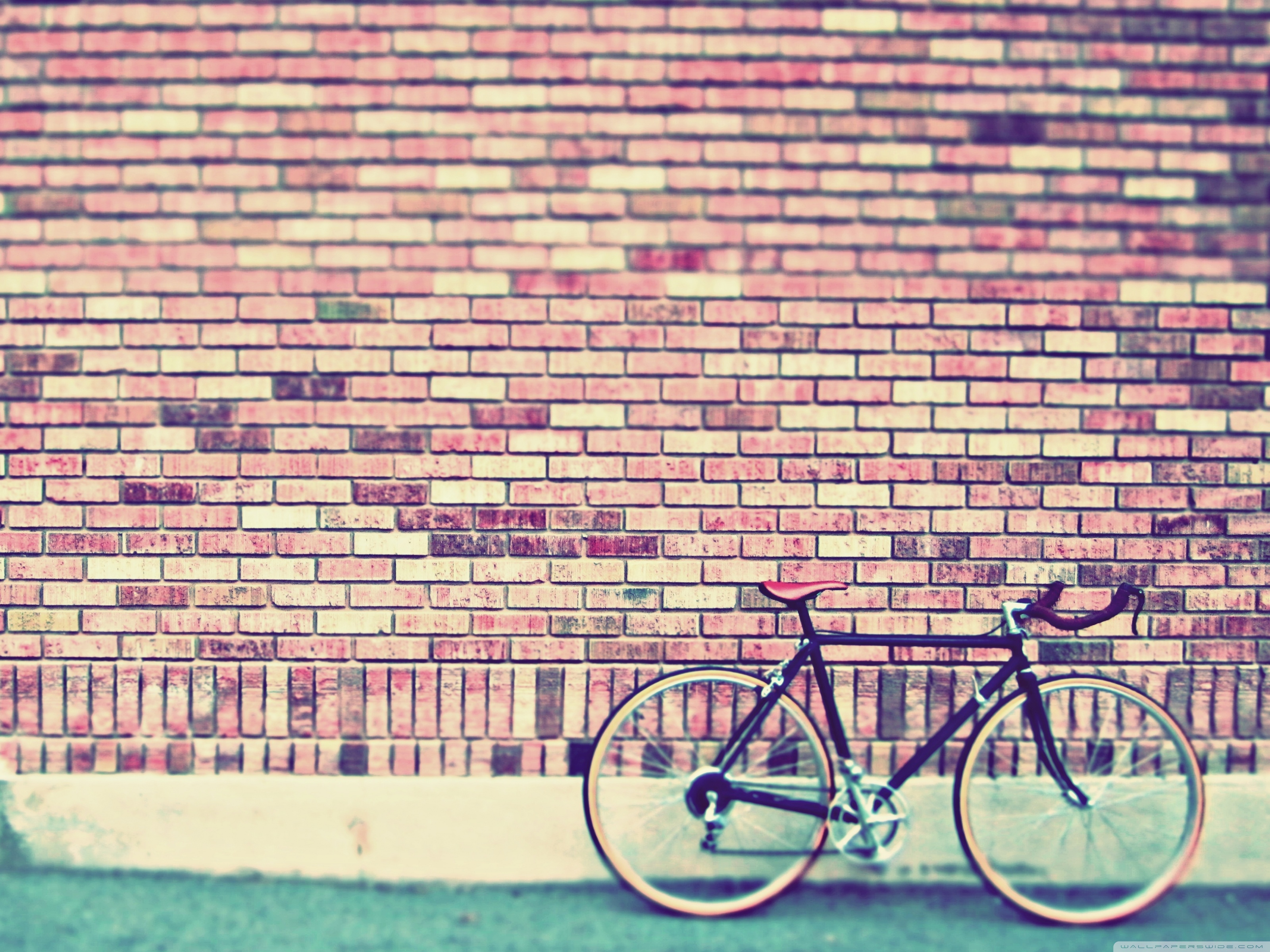Vintage Bike Photography