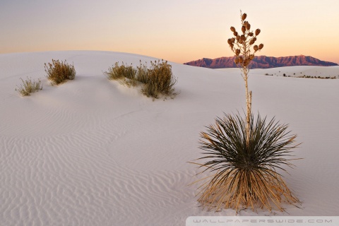 Desktop Backgrounds Desert. Desert desktop wallpaper