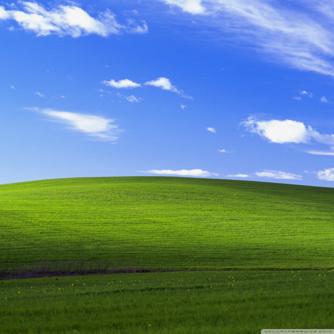 Featured image of post The Best 9 Original Windows Xp Wallpaper 4K