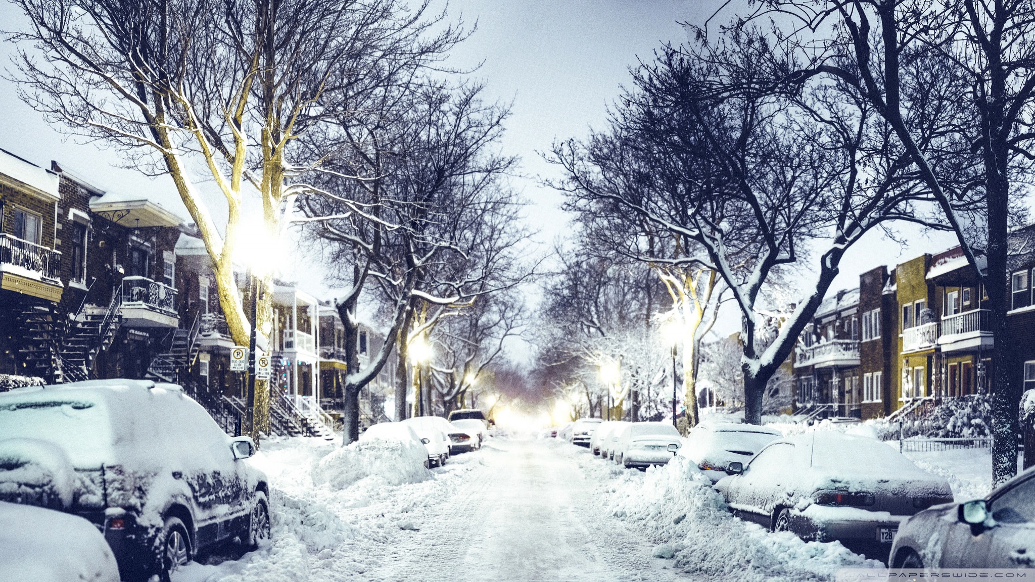 Winter City Street Ultra Hd Desktop Background Wallpaper For 4k Uhd Tv Widescreen Ultrawide Desktop Laptop Tablet Smartphone