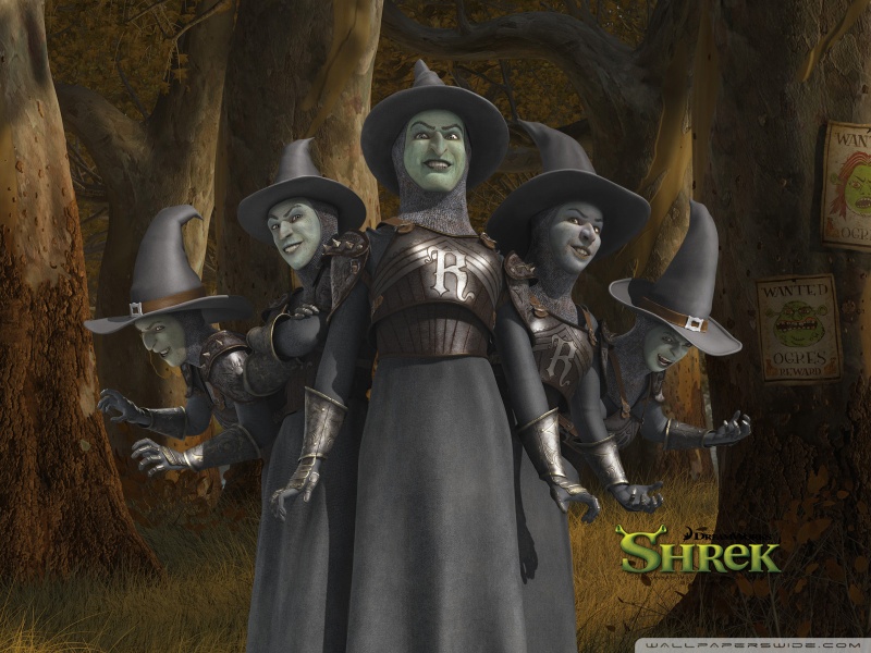 witches shrek the final chapter wallpaper 800x600