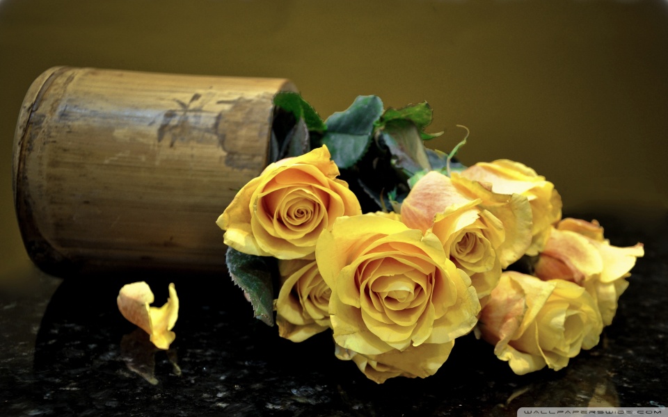 yellow roses wallpaper 960x600