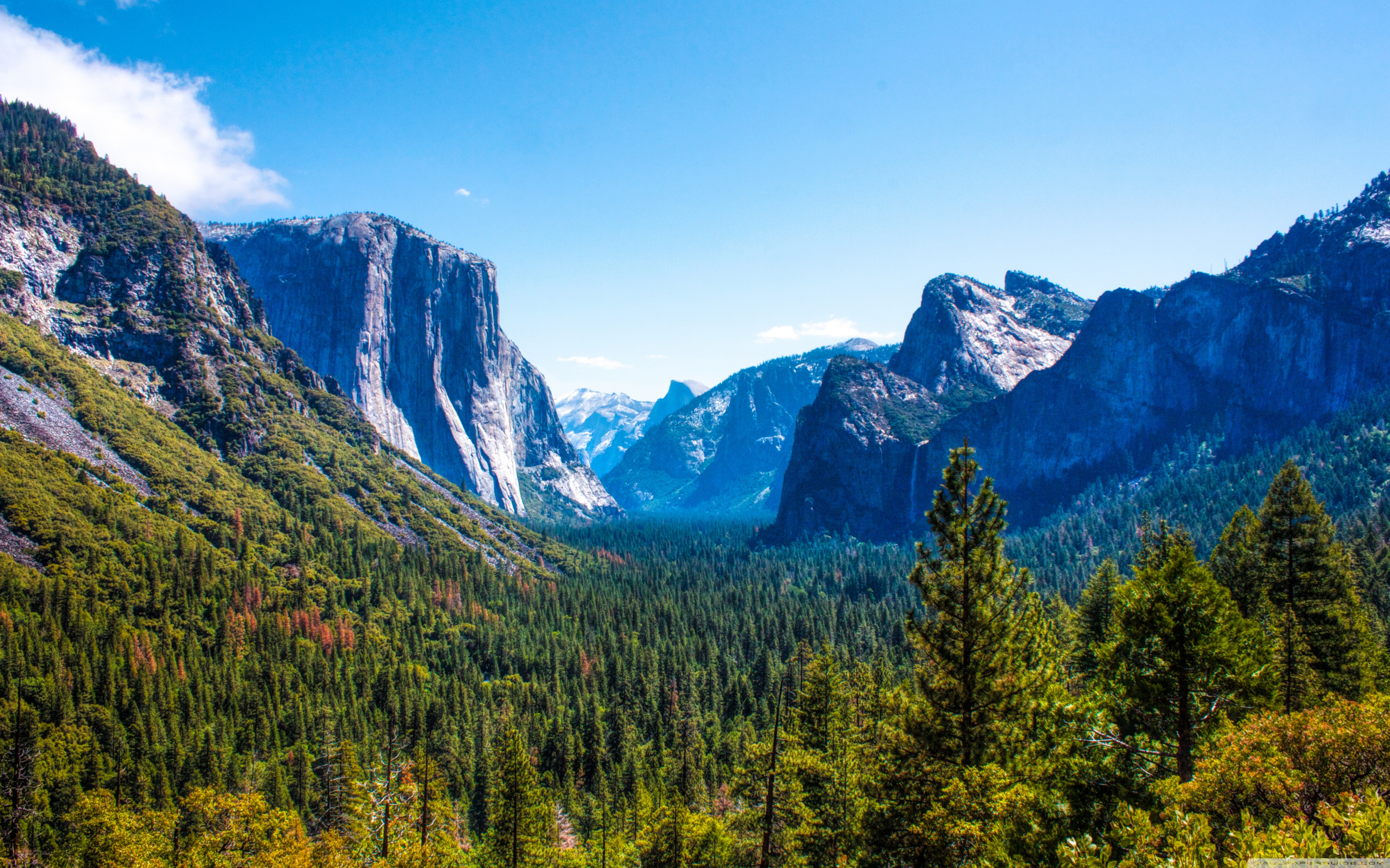 Yosemite National Park Yosemite valley Ultra HD Desktop Background Wallpaper  for 4K UHD TV : Widescreen & UltraWide Desktop & Laptop : Tablet :  Smartphone