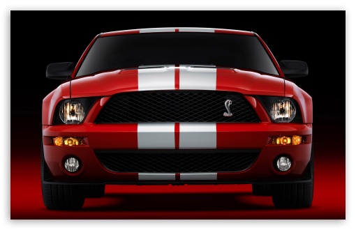2007 Ford Shelby GT500 Production Red 2 HD wallpaper for Standard 4:3 Fullscreen UXGA XGA SVGA ; Mobile VGA iPad - VGA QVGA Smartphone ( PocketPC GPS iPod Zune BlackBerry HTC Samsung LG Nokia Eten Asus ) ;