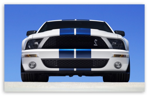 2007 Ford Shelby GT500 Production White HD wallpaper for Standard 4:3 Fullscreen UXGA XGA SVGA ; Mobile VGA iPad - VGA QVGA Smartphone ( PocketPC GPS iPod Zune BlackBerry HTC Samsung LG Nokia Eten Asus ) ;