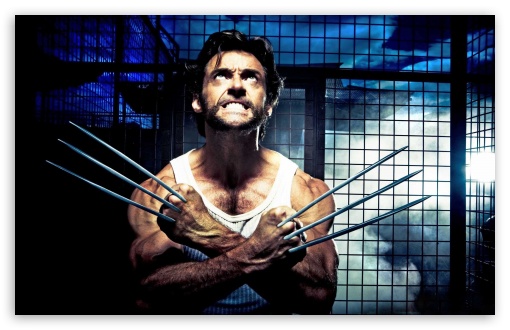 2009 X Men Origins Wolverine HD wallpaper for Wide 16:10 5:3 Widescreen WHXGA WQXGA WUXGA WXGA WGA ; HD 16:9 High Definition WQHD QWXGA 1080p 900p 720p QHD nHD ; Other 3:2 DVGA HVGA HQVGA devices ( Apple PowerBook G4 iPhone 4 3G 3GS iPod Touch ) ; Mobile WVGA iPhone PSP - WVGA WQVGA Smartphone ( HTC Samsung Sony Ericsson LG Vertu MIO ) HVGA Smartphone ( Apple iPhone iPod BlackBerry HTC Samsung Nokia ) Sony PSP Zune HD Zen ;