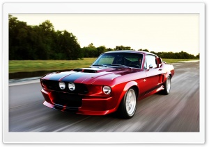2011 Shelby GT500CR HD Wide Wallpaper for Widescreen