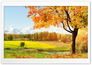 A Beautiful View Of Colorful Autumn Trees wallpaper