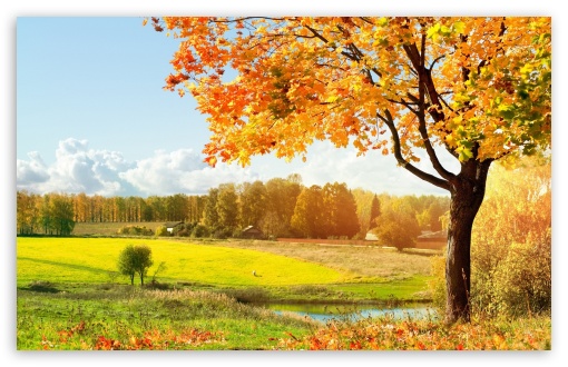 A Beautiful View Of Colorful Autumn Trees HD wallpaper for Wide 16:10 Widescreen WHXGA WQXGA WUXGA WXGA ;