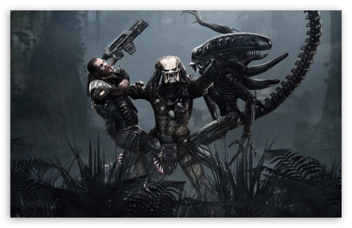 alien vs predator wallpaper. 4 Aliens vs Predator wallpaper