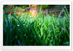 Another Sunny Day HD Wide Wallpaper for Widescreen