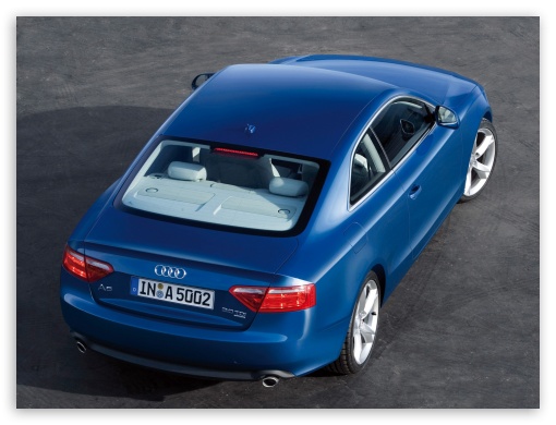 Audi A5 3.0 TDI Quattro Coupe 3 HD wallpaper for Standard 4:3 Fullscreen UXGA XGA SVGA ; Mobile VGA iPad - VGA QVGA Smartphone ( PocketPC GPS iPod Zune BlackBerry HTC Samsung LG Nokia Eten Asus ) ;