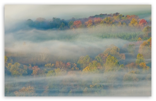 Autumn Mist wallpaper for Wide 16:10 Widescreen WHXGA WQXGA WUXGA WXGA ;