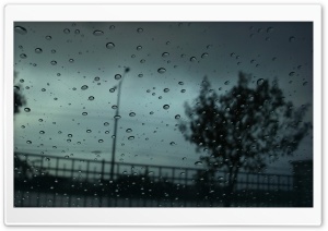 Autumn Raindrops HD Wide Wallpaper for Widescreen