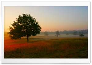 Autumn Scenes HD Wide Wallpaper for Widescreen