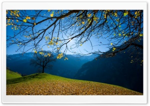 Autumn, Schachental, Switzerland wallpaper