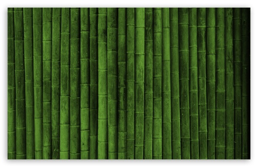 Bamboo Wall HD wallpaper for Wide 16:10 Widescreen WHXGA WQXGA WUXGA WXGA ;