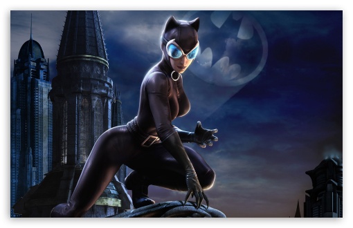 Batman Arkham City - Catwoman wallpaper for Wide 16:10 Widescreen WHXGA WQXGA WUXGA WXGA ;