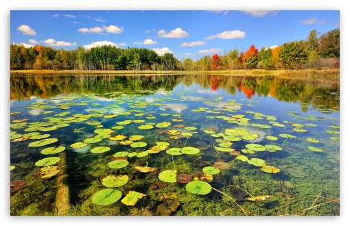 Beautiful Lake Scenery, Autumn HD wallpaper for Wide 16:10 Widescreen WHXGA WQXGA WUXGA WXGA ;